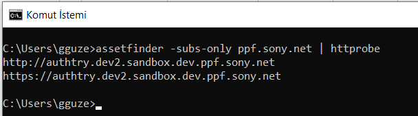 assetfinder + httprobe output